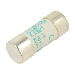 Siguranță aM 10A 690V 22x58mm | Electronic-mag.ro | Componente Electronice