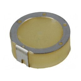 Antenă Bluetooth WLAN 16x6.5mm | Electronic-mag.ro | Componente Electronice