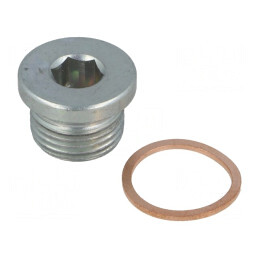 Dop filetat oțel zincat G 1/2 cu garnitură de cupru | Electronic-mag.ro | Componente Electronice