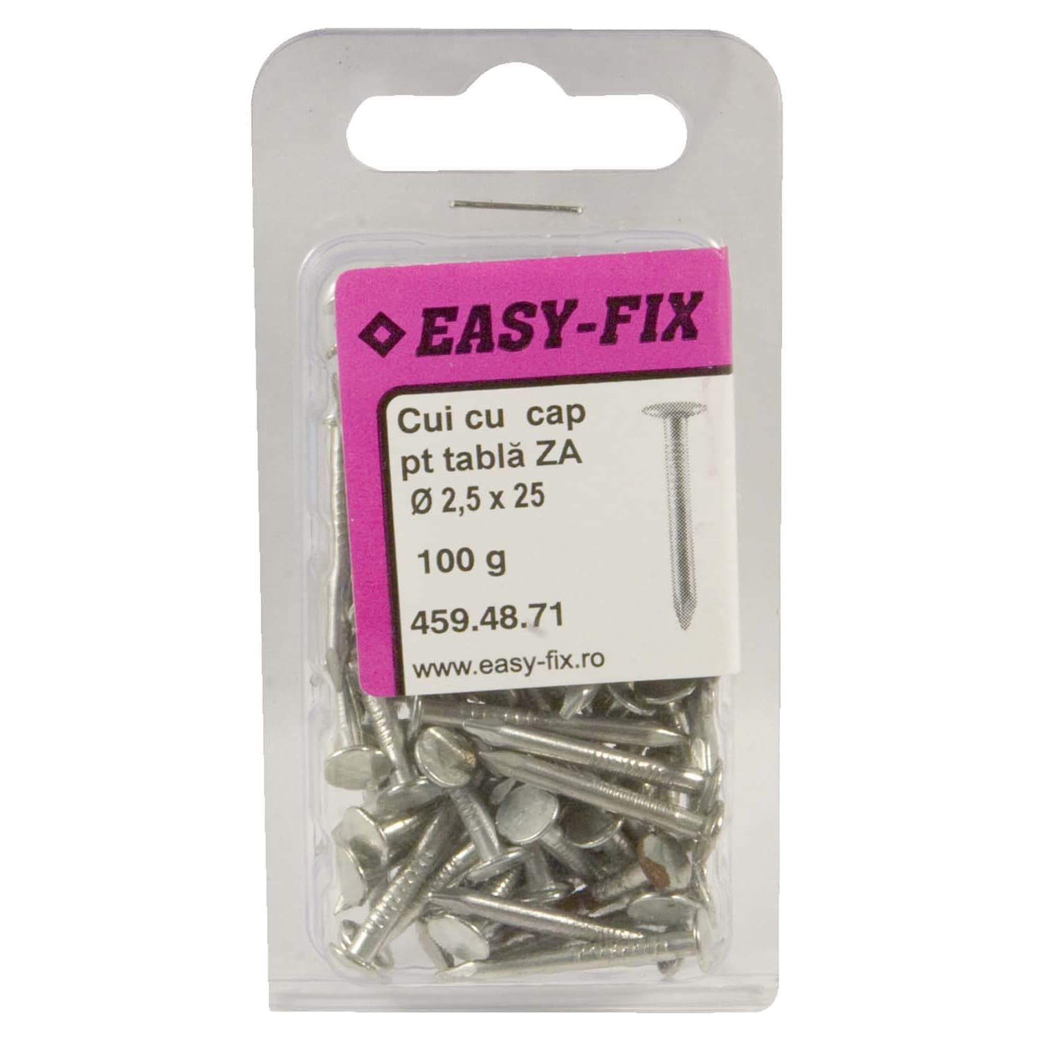 Cuie cu cap plat, pentru tabla, Easy-Fix, 2.5 x 25 mm, 0.100 kg