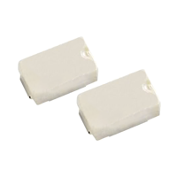 Siguranţe SMD PICO cu întârziere - de Calitate | Electronic-