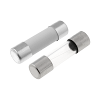 Siguranţe 5x20mm - cu întârziere - de Calitate | Electronic-