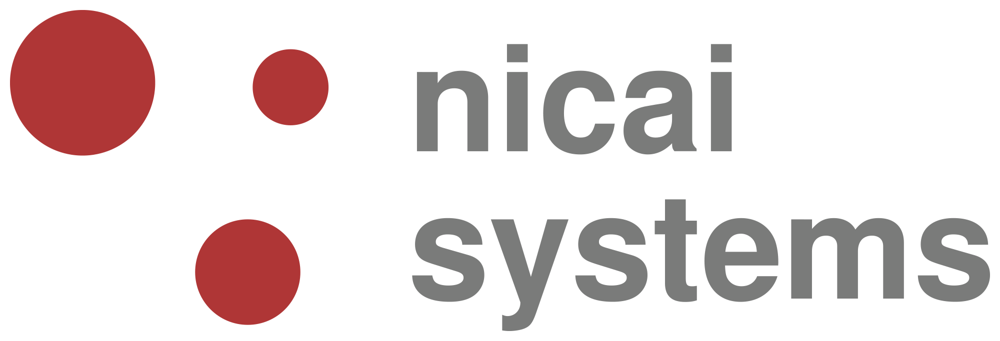 NICAI-SYSTEMS
